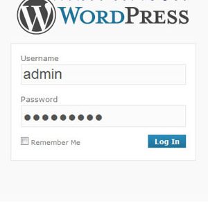 Advanced Wordpress